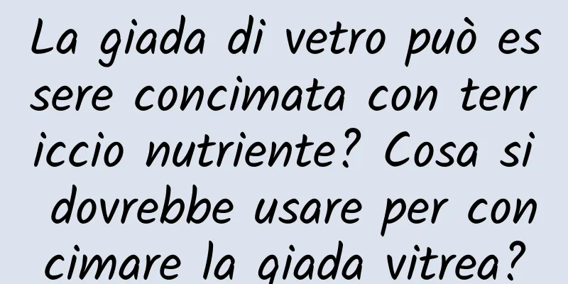 La giada di vetro può essere concimata con terriccio nutriente? Cosa si dovrebbe usare per concimare la giada vitrea?