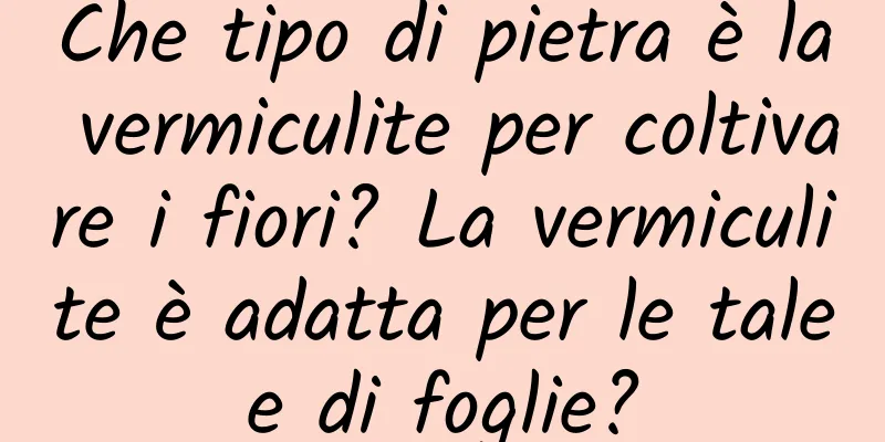 Che tipo di pietra è la vermiculite per coltivare i fiori? La vermiculite è adatta per le talee di foglie?
