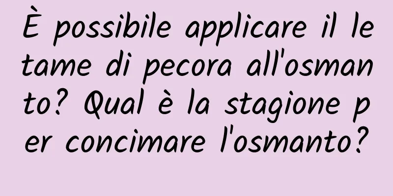 È possibile applicare il letame di pecora all'osmanto? Qual è la stagione per concimare l'osmanto?