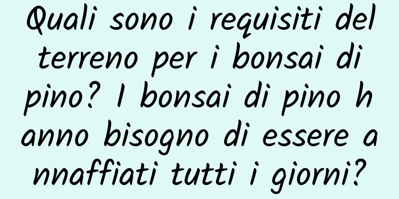 Quali sono i requisiti del terreno per i bonsai di pino? I bonsai di pino hanno bisogno di essere annaffiati tutti i giorni?