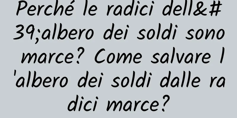 Perché le radici dell'albero dei soldi sono marce? Come salvare l'albero dei soldi dalle radici marce?