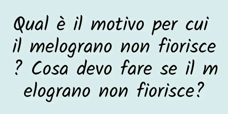 Qual è il motivo per cui il melograno non fiorisce? Cosa devo fare se il melograno non fiorisce?
