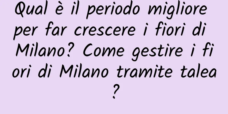 Qual è il periodo migliore per far crescere i fiori di Milano? Come gestire i fiori di Milano tramite talea?