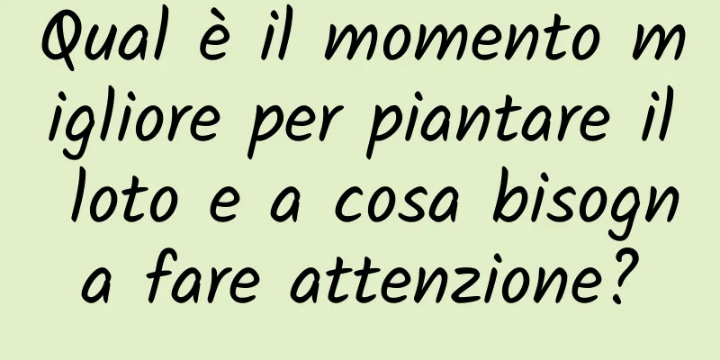 Qual è il momento migliore per piantare il loto e a cosa bisogna fare attenzione?