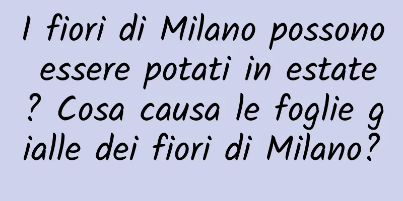 I fiori di Milano possono essere potati in estate? Cosa causa le foglie gialle dei fiori di Milano?