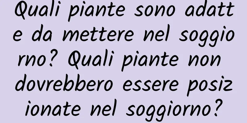 Quali piante sono adatte da mettere nel soggiorno? Quali piante non dovrebbero essere posizionate nel soggiorno?