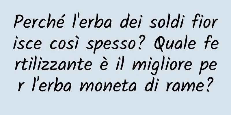 Perché l'erba dei soldi fiorisce così spesso? Quale fertilizzante è il migliore per l'erba moneta di rame?