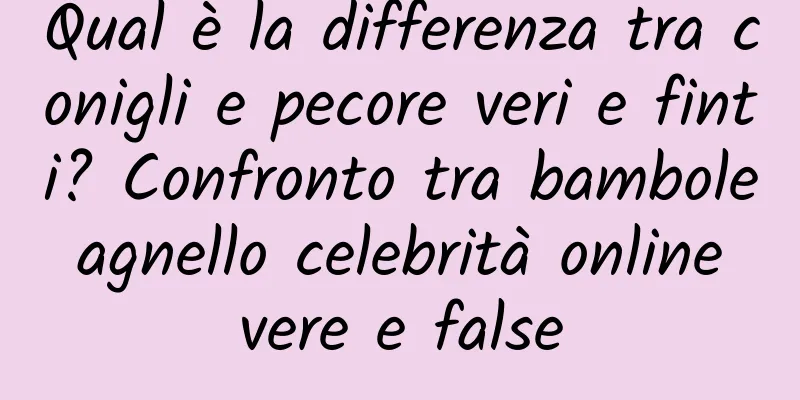 Qual è la differenza tra conigli e pecore veri e finti? Confronto tra bambole agnello celebrità online vere e false