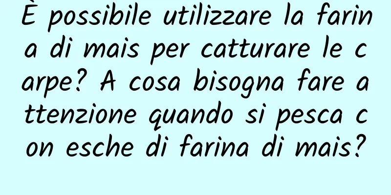 È possibile utilizzare la farina di mais per catturare le carpe? A cosa bisogna fare attenzione quando si pesca con esche di farina di mais?