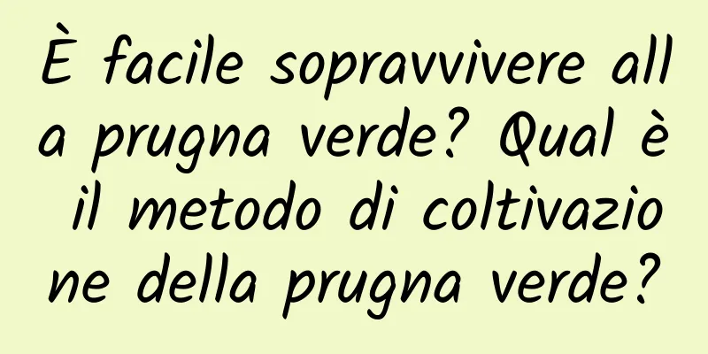 È facile sopravvivere alla prugna verde? Qual è il metodo di coltivazione della prugna verde?