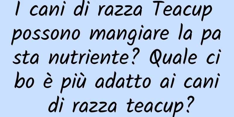 I cani di razza Teacup possono mangiare la pasta nutriente? Quale cibo è più adatto ai cani di razza teacup?