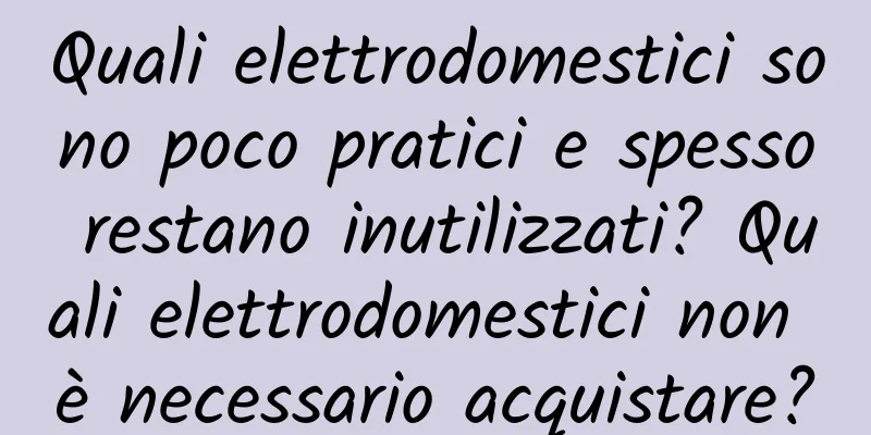 Quali elettrodomestici sono poco pratici e spesso restano inutilizzati? Quali elettrodomestici non è necessario acquistare?
