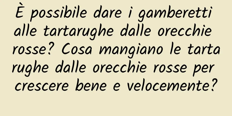 È possibile dare i gamberetti alle tartarughe dalle orecchie rosse? Cosa mangiano le tartarughe dalle orecchie rosse per crescere bene e velocemente?