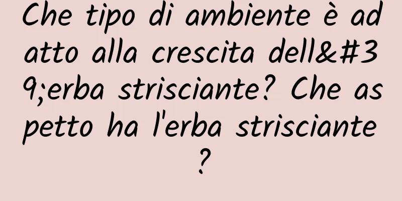 Che tipo di ambiente è adatto alla crescita dell'erba strisciante? Che aspetto ha l'erba strisciante?