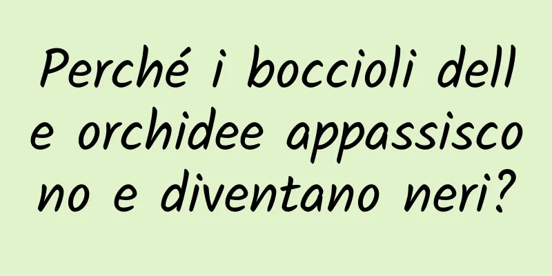 Perché i boccioli delle orchidee appassiscono e diventano neri?