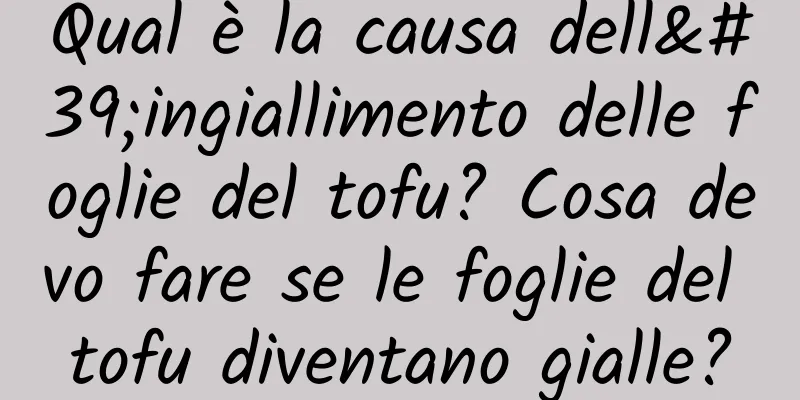 Qual è la causa dell'ingiallimento delle foglie del tofu? Cosa devo fare se le foglie del tofu diventano gialle?
