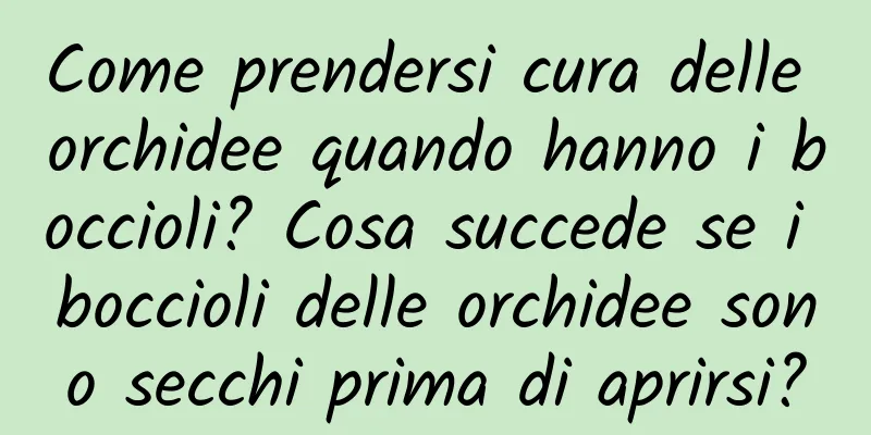 Come prendersi cura delle orchidee quando hanno i boccioli? Cosa succede se i boccioli delle orchidee sono secchi prima di aprirsi?
