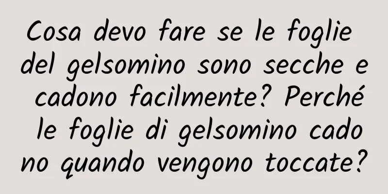 Cosa devo fare se le foglie del gelsomino sono secche e cadono facilmente? Perché le foglie di gelsomino cadono quando vengono toccate?