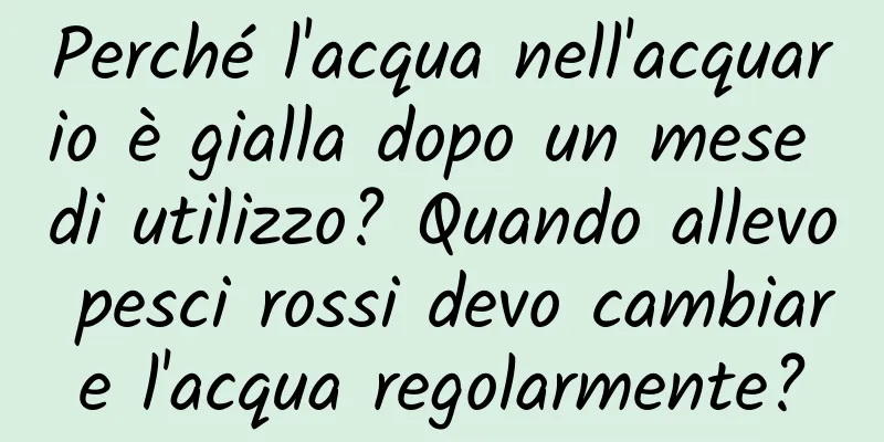 Perché l'acqua nell'acquario è gialla dopo un mese di utilizzo? Quando allevo pesci rossi devo cambiare l'acqua regolarmente?