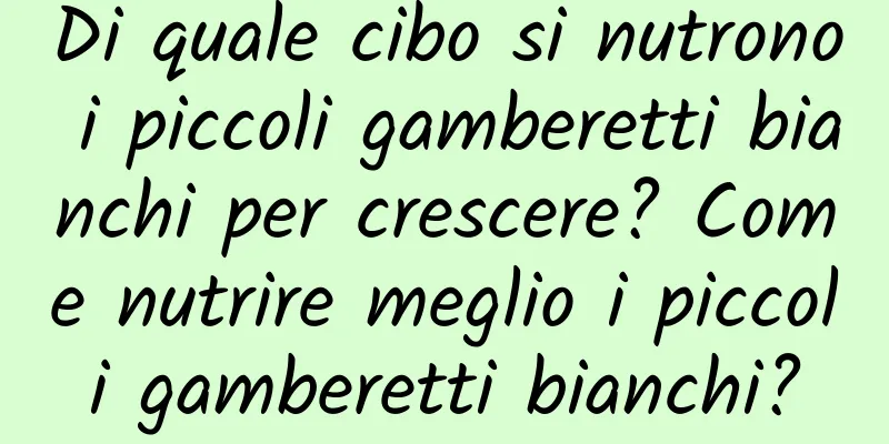 Di quale cibo si nutrono i piccoli gamberetti bianchi per crescere? Come nutrire meglio i piccoli gamberetti bianchi?