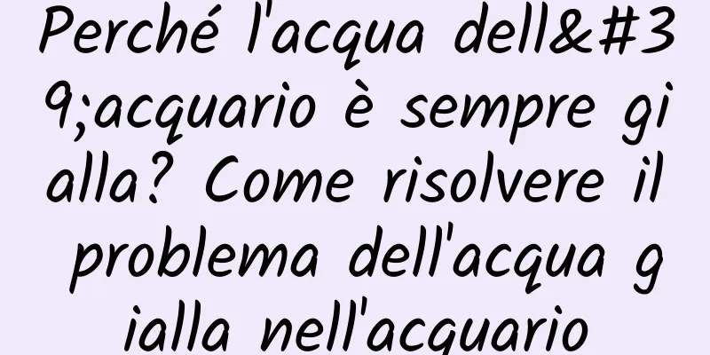 Perché l'acqua dell'acquario è sempre gialla? Come risolvere il problema dell'acqua gialla nell'acquario