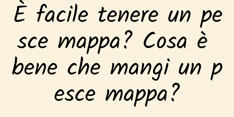È facile tenere un pesce mappa? Cosa è bene che mangi un pesce mappa?