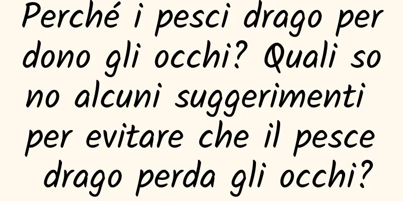 Perché i pesci drago perdono gli occhi? Quali sono alcuni suggerimenti per evitare che il pesce drago perda gli occhi?