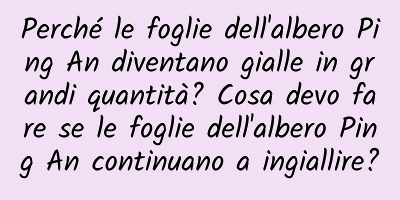 Perché le foglie dell'albero Ping An diventano gialle in grandi quantità? Cosa devo fare se le foglie dell'albero Ping An continuano a ingiallire?