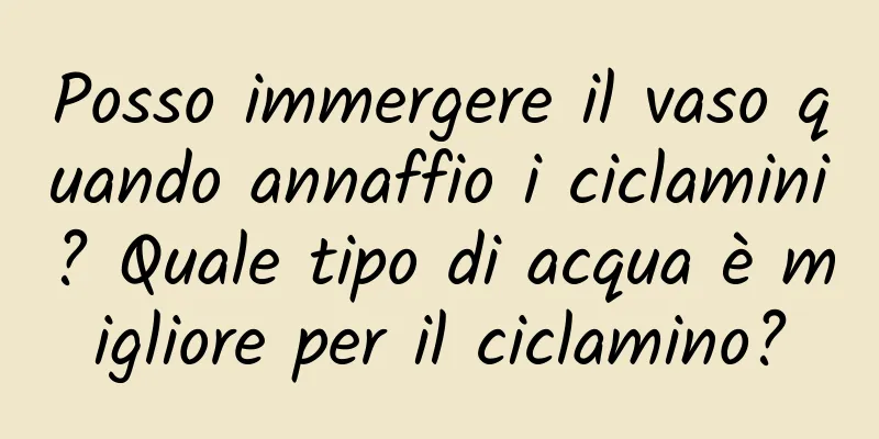 Posso immergere il vaso quando annaffio i ciclamini? Quale tipo di acqua è migliore per il ciclamino?