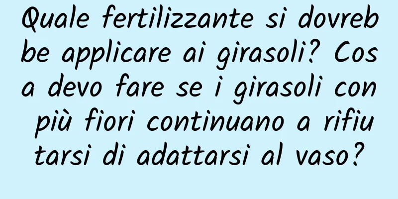 Quale fertilizzante si dovrebbe applicare ai girasoli? Cosa devo fare se i girasoli con più fiori continuano a rifiutarsi di adattarsi al vaso?