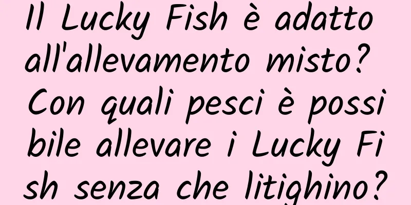 Il Lucky Fish è adatto all'allevamento misto? Con quali pesci è possibile allevare i Lucky Fish senza che litighino?