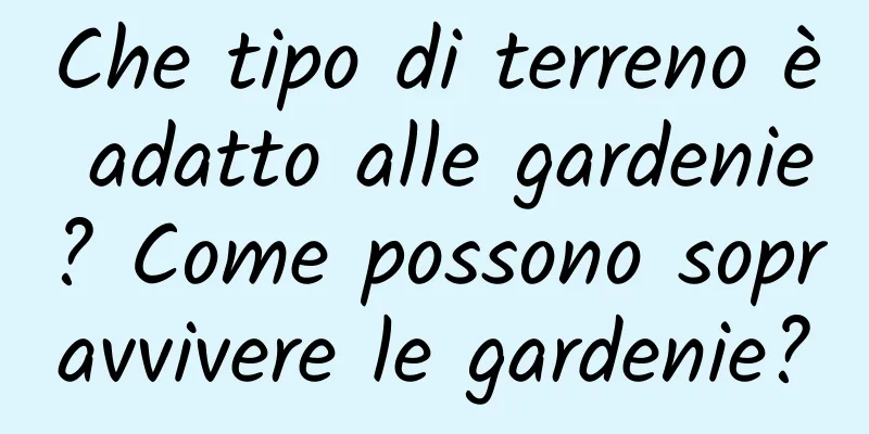 Che tipo di terreno è adatto alle gardenie? Come possono sopravvivere le gardenie?