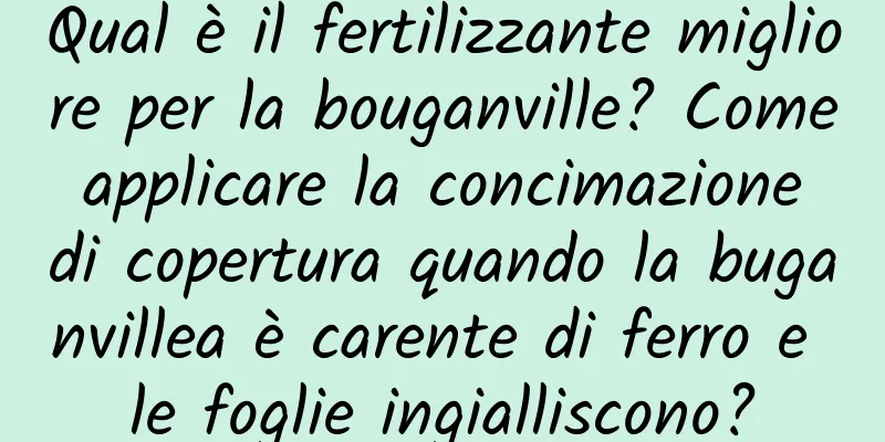 Qual è il fertilizzante migliore per la bouganville? Come applicare la concimazione di copertura quando la buganvillea è carente di ferro e le foglie ingialliscono?