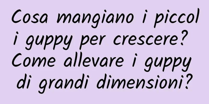 Cosa mangiano i piccoli guppy per crescere? Come allevare i guppy di grandi dimensioni?