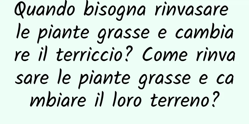 Quando bisogna rinvasare le piante grasse e cambiare il terriccio? Come rinvasare le piante grasse e cambiare il loro terreno?