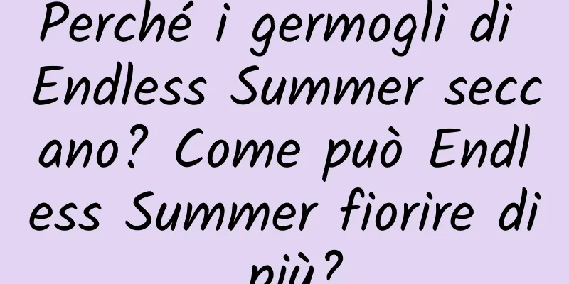 Perché i germogli di Endless Summer seccano? Come può Endless Summer fiorire di più?