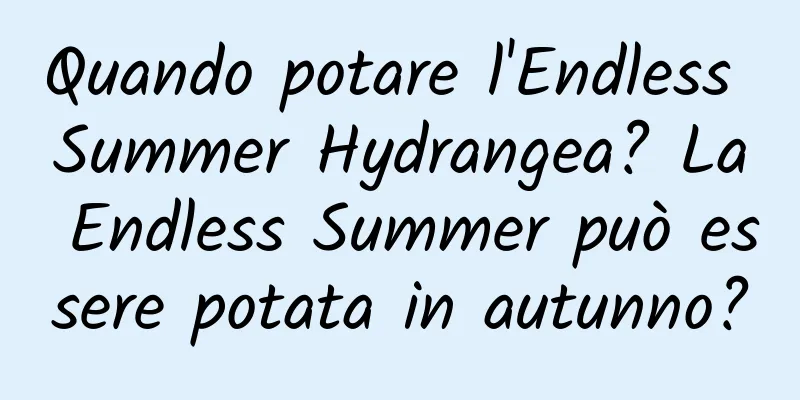 Quando potare l'Endless Summer Hydrangea? La Endless Summer può essere potata in autunno?