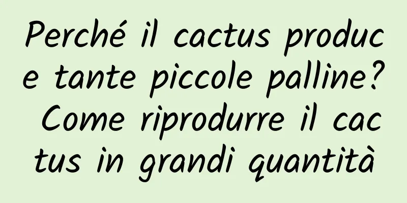 Perché il cactus produce tante piccole palline? Come riprodurre il cactus in grandi quantità