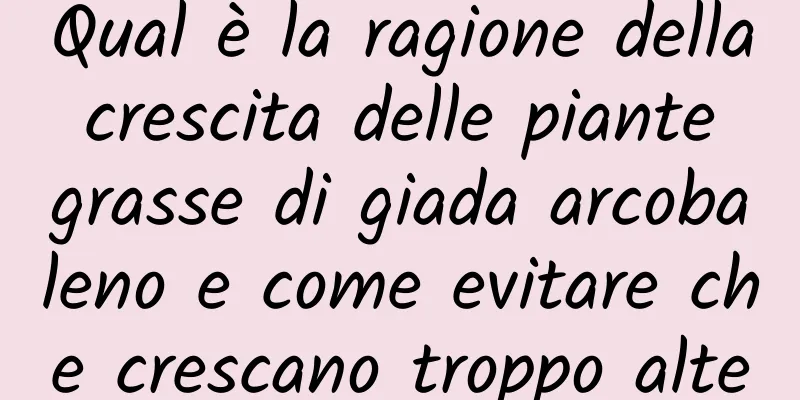 Qual è la ragione della crescita delle piante grasse di giada arcobaleno e come evitare che crescano troppo alte
