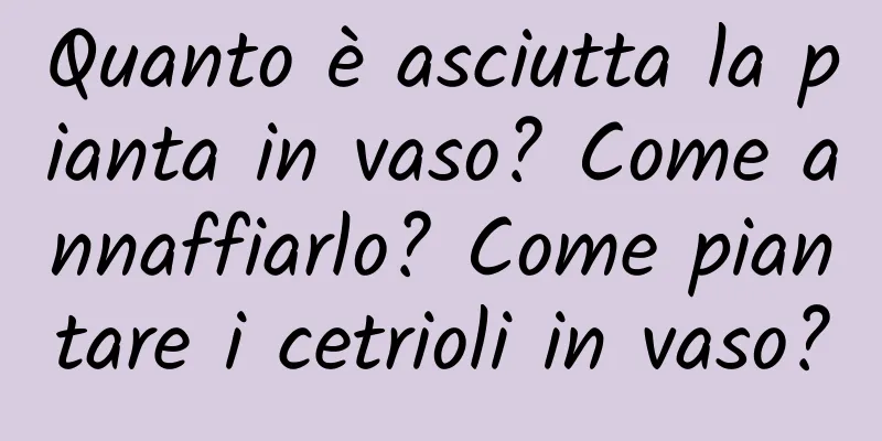 Quanto è asciutta la pianta in vaso? Come annaffiarlo? Come piantare i cetrioli in vaso?