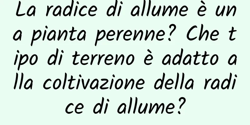 La radice di allume è una pianta perenne? Che tipo di terreno è adatto alla coltivazione della radice di allume?