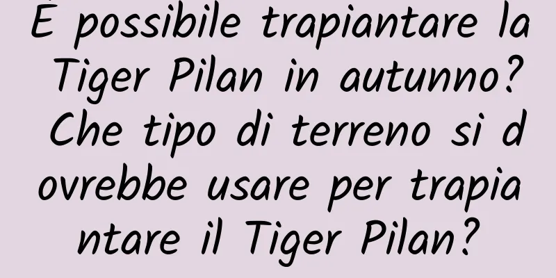 È possibile trapiantare la Tiger Pilan in autunno? Che tipo di terreno si dovrebbe usare per trapiantare il Tiger Pilan?