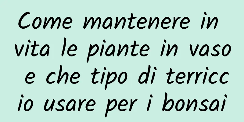 Come mantenere in vita le piante in vaso e che tipo di terriccio usare per i bonsai
