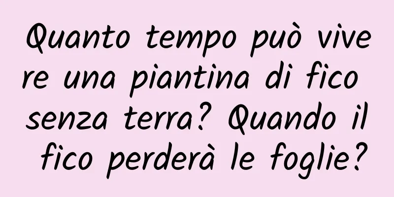 Quanto tempo può vivere una piantina di fico senza terra? Quando il fico perderà le foglie?