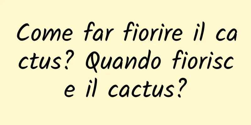 Come far fiorire il cactus? Quando fiorisce il cactus?
