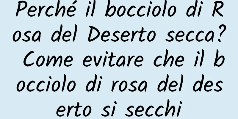 Perché il bocciolo di Rosa del Deserto secca? Come evitare che il bocciolo di rosa del deserto si secchi