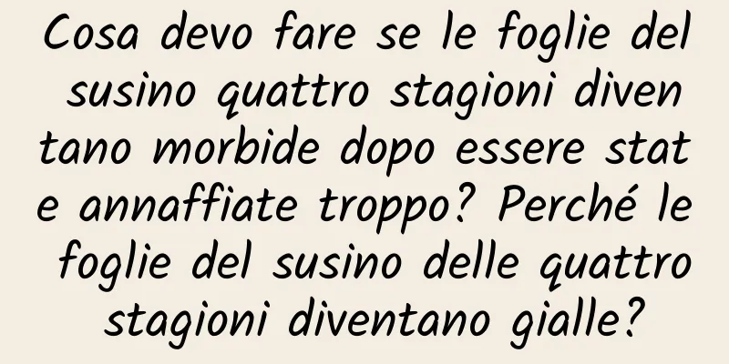 Cosa devo fare se le foglie del susino quattro stagioni diventano morbide dopo essere state annaffiate troppo? Perché le foglie del susino delle quattro stagioni diventano gialle?