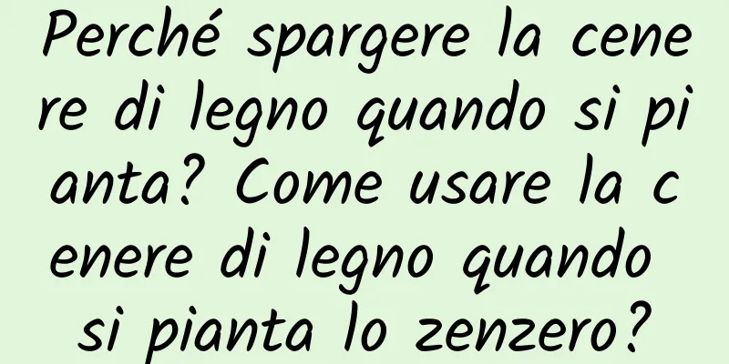 Perché spargere la cenere di legno quando si pianta? Come usare la cenere di legno quando si pianta lo zenzero?
