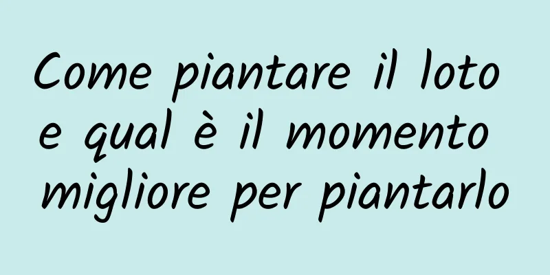 Come piantare il loto e qual è il momento migliore per piantarlo