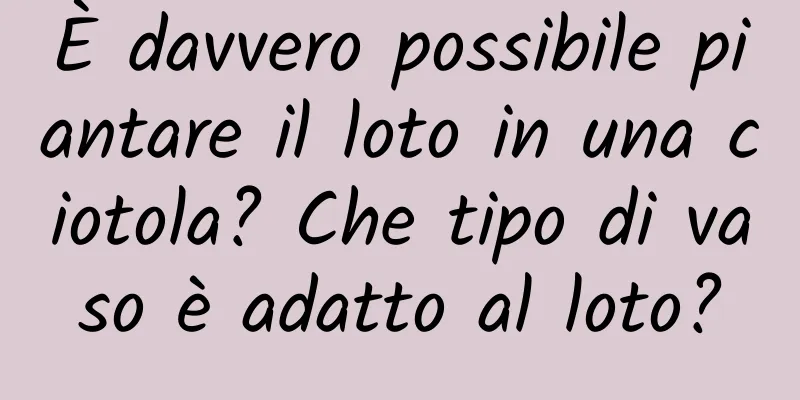 È davvero possibile piantare il loto in una ciotola? Che tipo di vaso è adatto al loto?